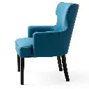 a_side_view (2).webp