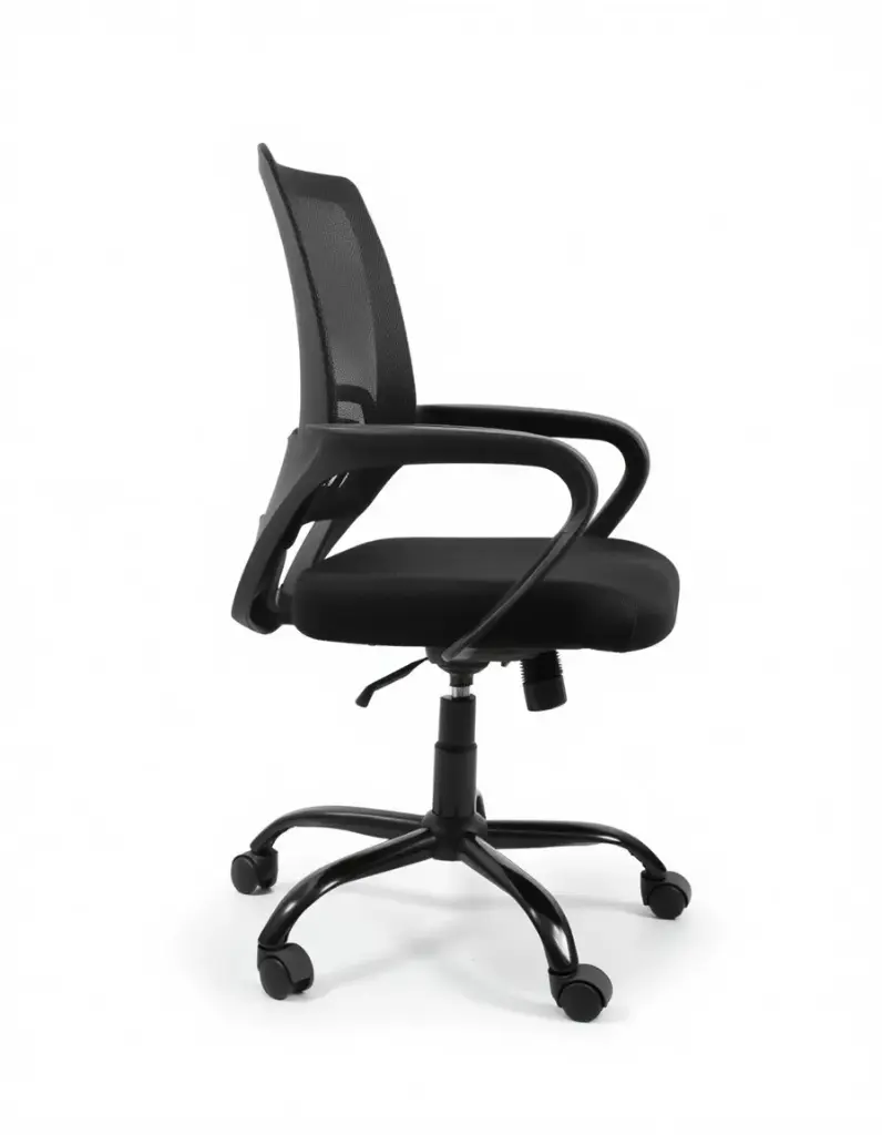 a_Side_view (4).webp