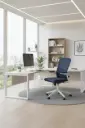 Zolo Office Chair