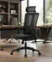 Zen Boss Chair